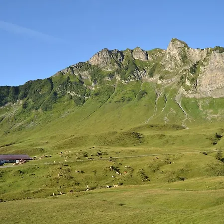 Lug Au (Vorarlberg)